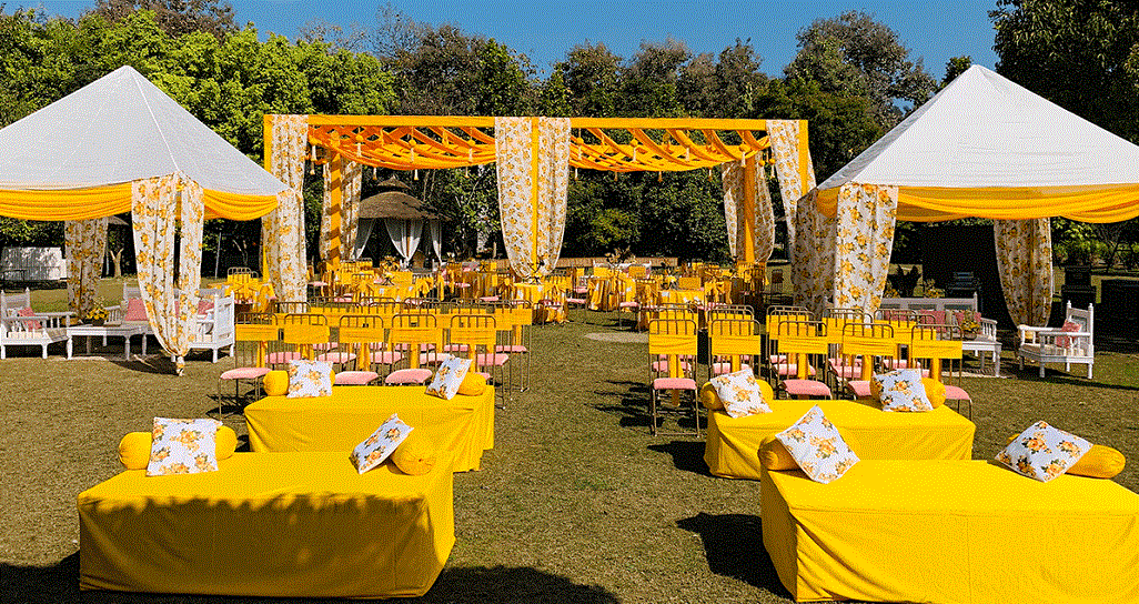 Wedding in Jim Corbett National Park